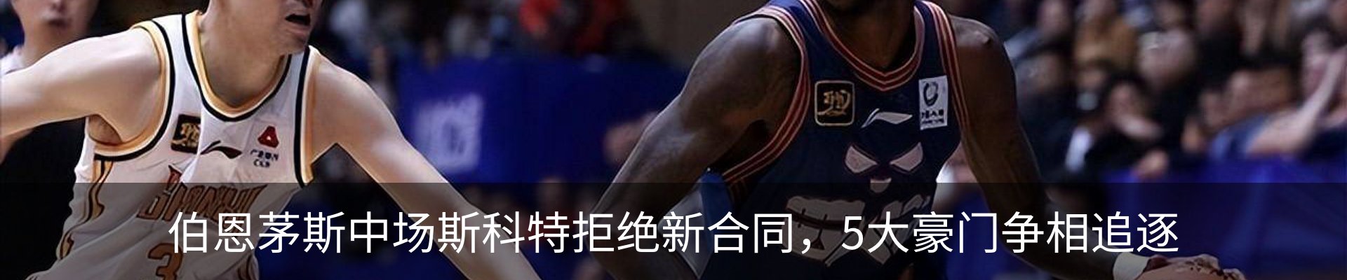 新闻动态