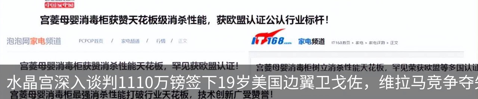 新闻动态