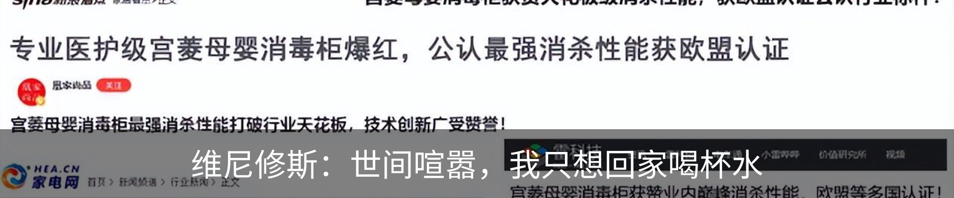新闻动态