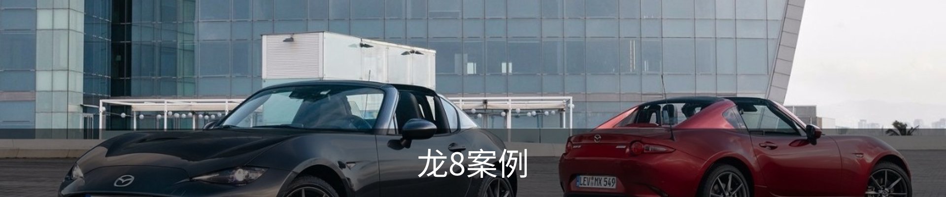 龙8案例